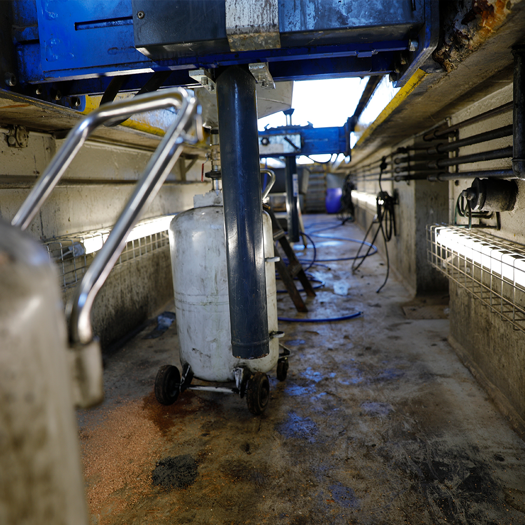 Anker Stålgrave Ser Din Grav Saadan Ud